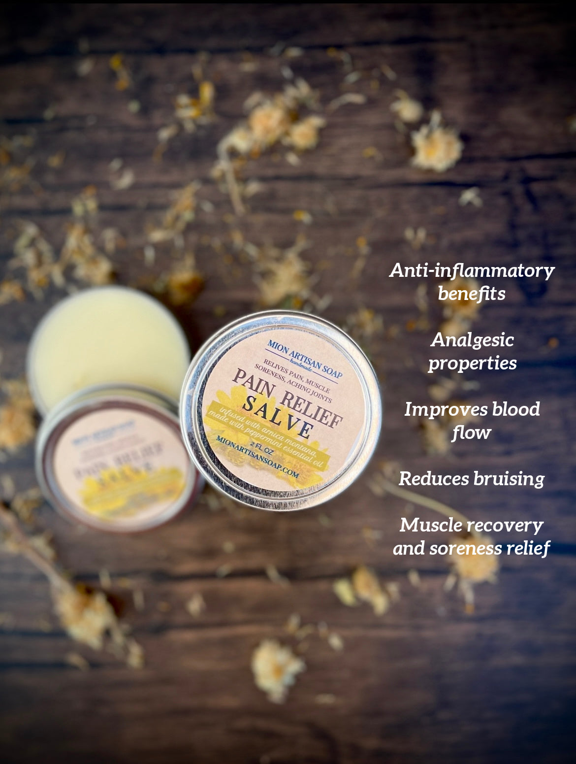 Pain Relief Salve | Infused with Arnica Montana