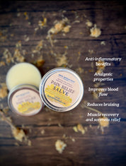 Pain Relief Salve | Infused with Arnica Montana