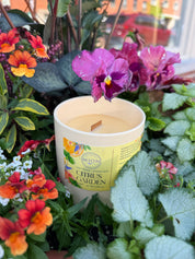 Citrus Garden | Ceramic Jar Candle | with Crackling Wooden Wick
