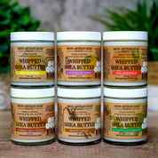 Five jars of Whipped Shea Butter from Moon Artisan Soap on a wooden surface with a blurred green plant background.