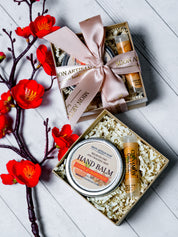 Hand and Lip Balm Set