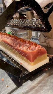 Cinnamon and Apple | Aloe Butter Soap