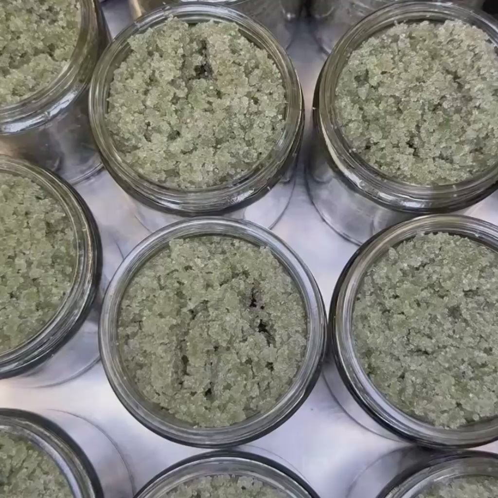 Lemongrass Spirulina Sugar Scrub | Medium