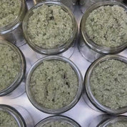 Lemongrass Spirulina Sugar Scrub | Medium